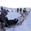 Dog sled expedition 2012