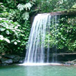 Jungle Waterfall, Borneo